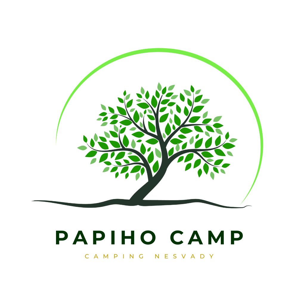 LOGO PAPI CAMP